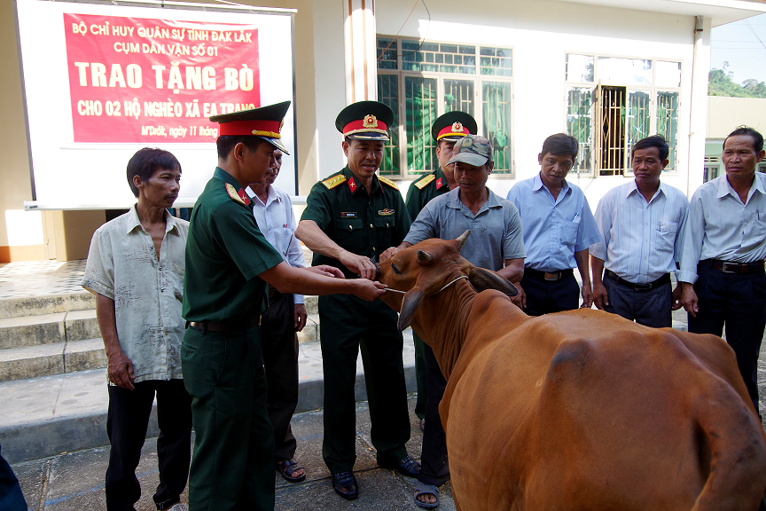 Cụm Dân vận số 1, Bộ Chỉ huy quân sự tỉnh ĐắkLắk trao tặng bò cho hộ nghèo xã Ea Trang, huyện M’Drắk
